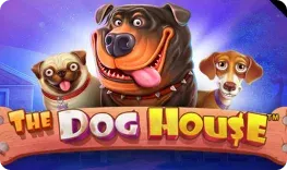 Yabby Casino offre il gioco online The Dog House